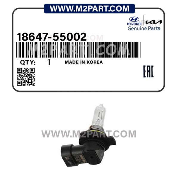 18647-55002