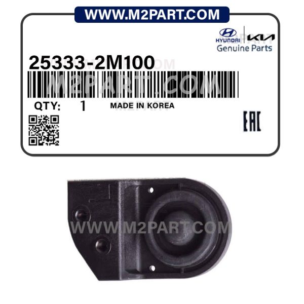 25333-2M100