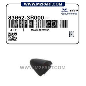 شاسی دستگیره در عقب چپ کادنزا